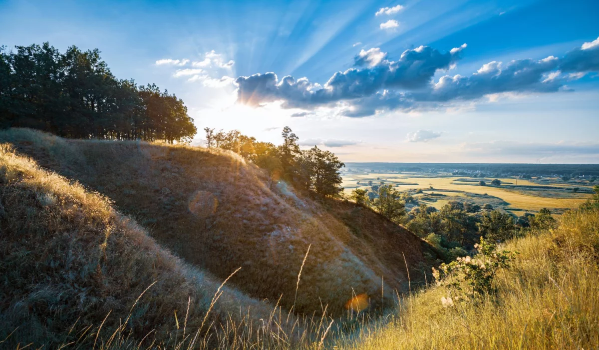 BDO Luksemburg: przewodnik dla polskich firm — jak zoptymalizować podatki, wybrać strukturę spółki i uniknąć pułapek prawnych