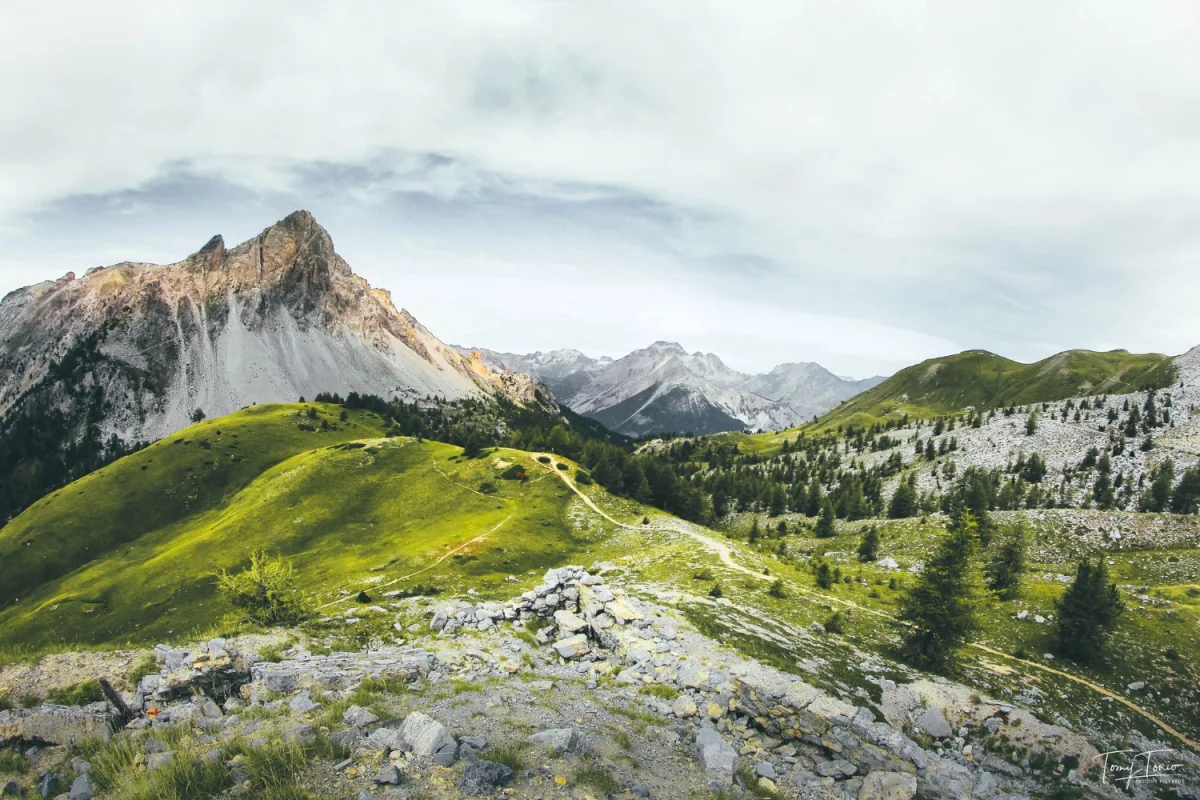 Jakie Oprogramowanie dla firm?