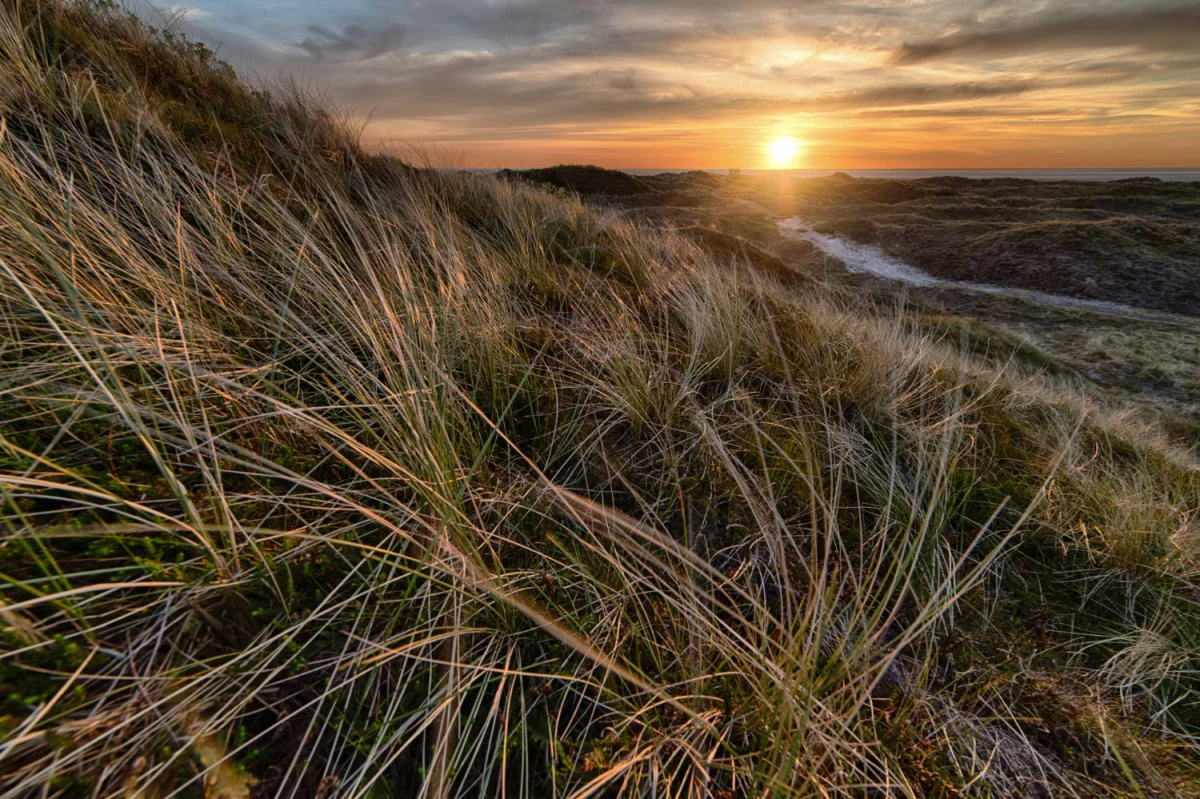 8 Pomysłów Aby budować dom