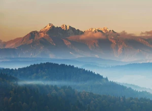 Czy jest nowe prawo jak naprawić klimę w ząbkach?
